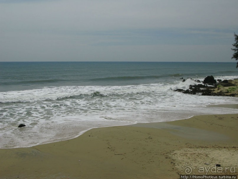 Океан и дюны