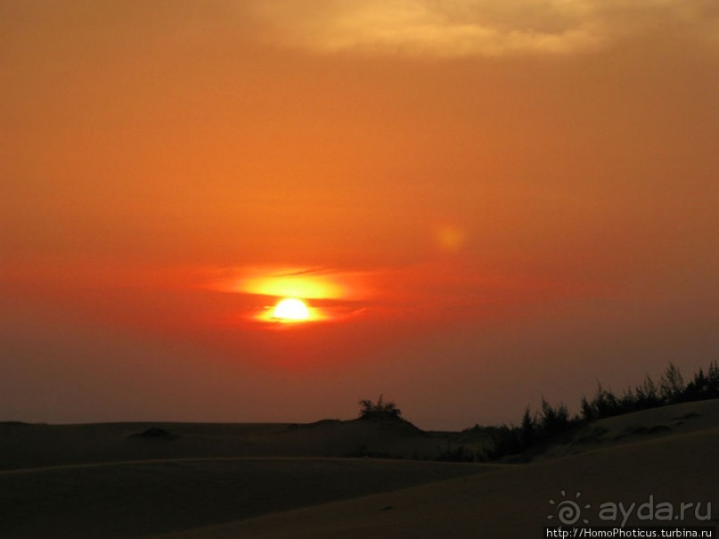 Океан и дюны