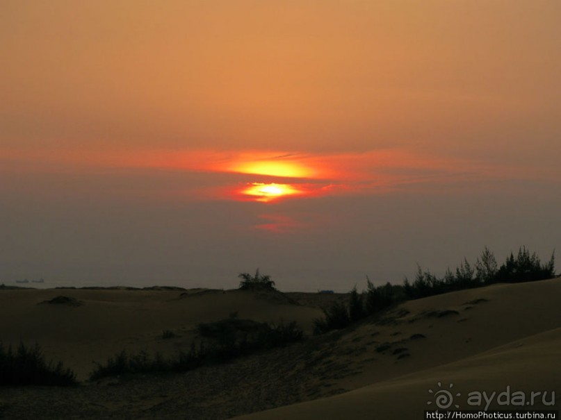 Океан и дюны