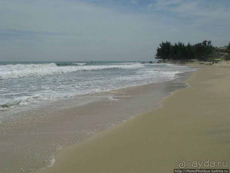 Океан и дюны