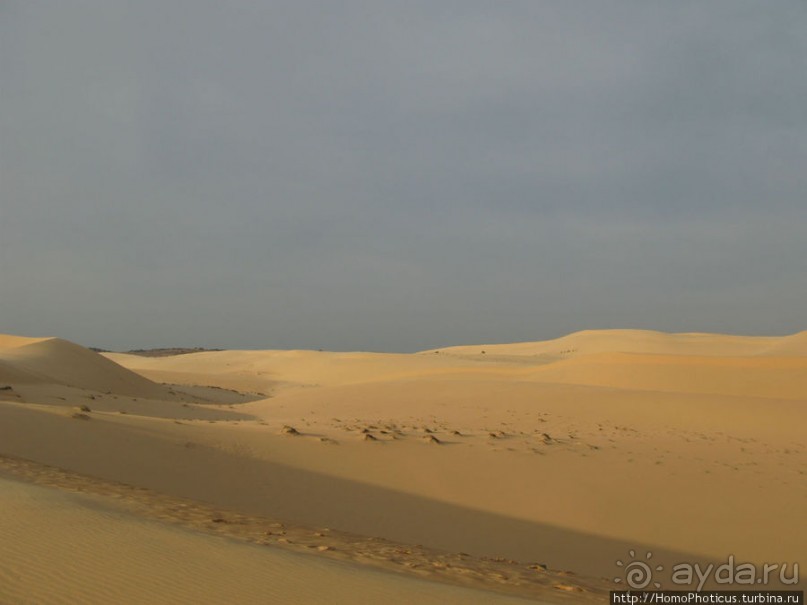 Океан и дюны