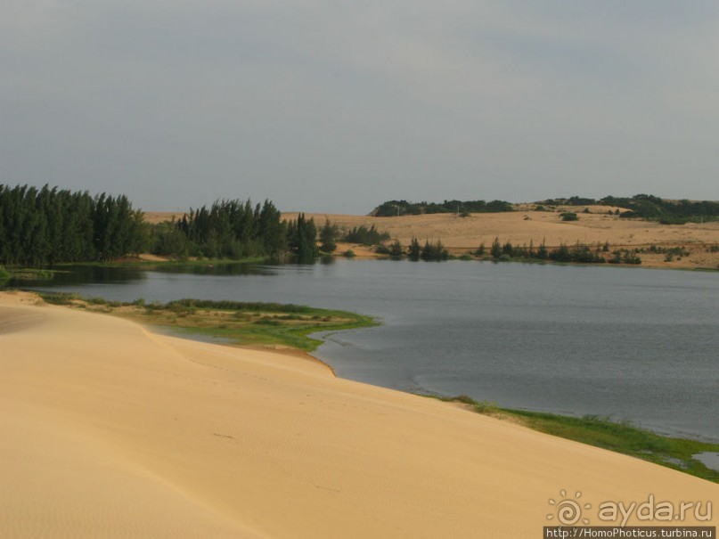 Океан и дюны