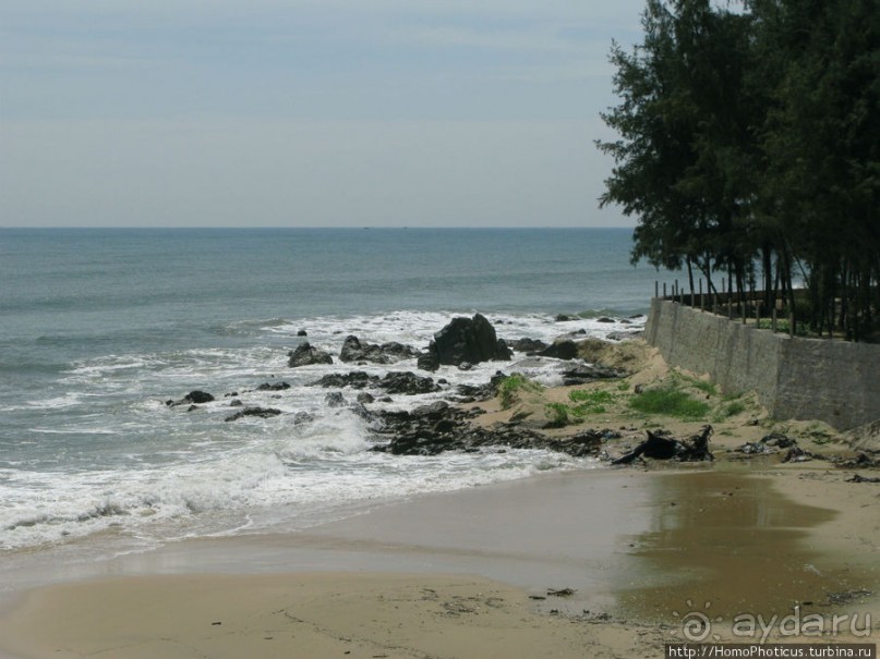 Океан и дюны