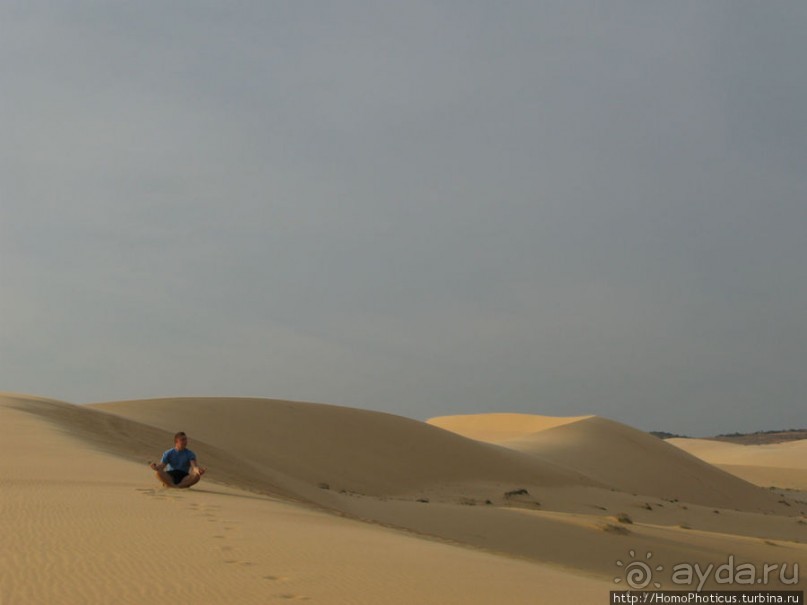 Океан и дюны