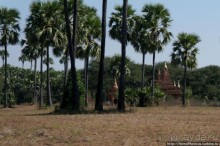 Город пагод и ступ: трехэтажный великан