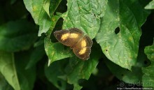 Монастырь на полуострове