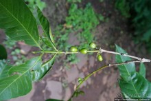 Монастырь на полуострове