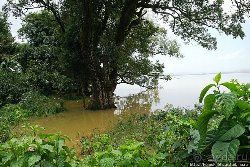Монастырь на полуострове