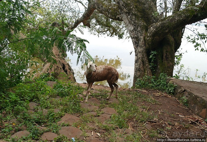 Монастырь на полуострове