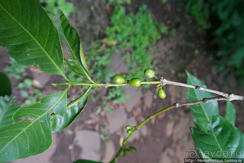 Монастырь на полуострове