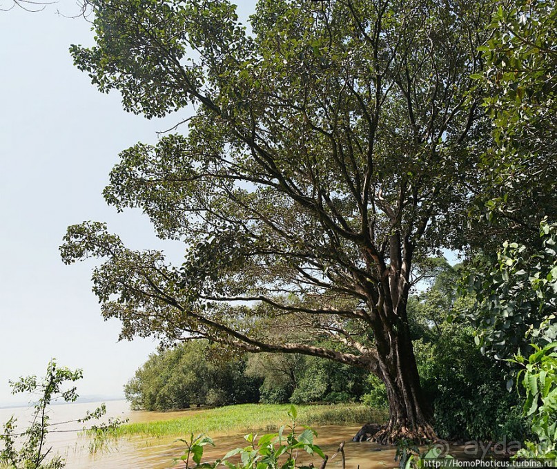 Монастырь на полуострове