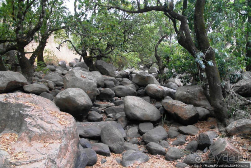 Деревня племени дупа: беглецы от христианизации
