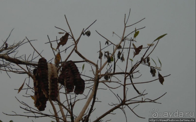 Деревня племени дупа: беглецы от христианизации