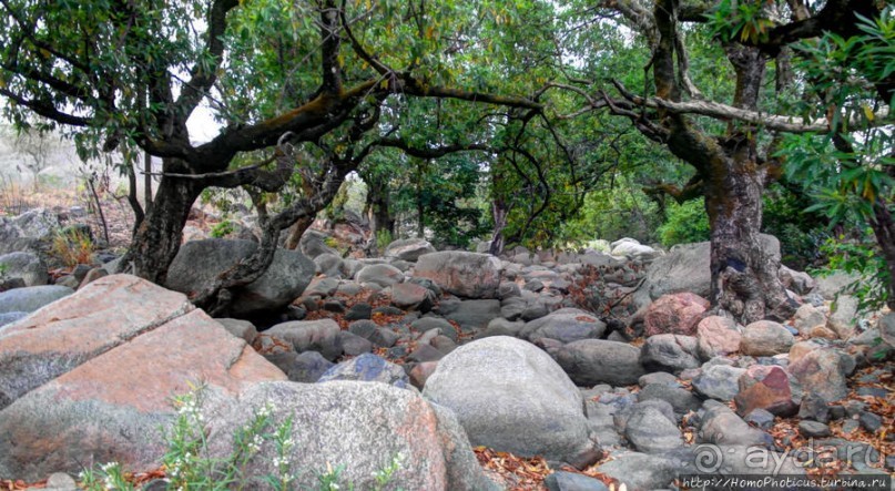Деревня племени дупа: беглецы от христианизации