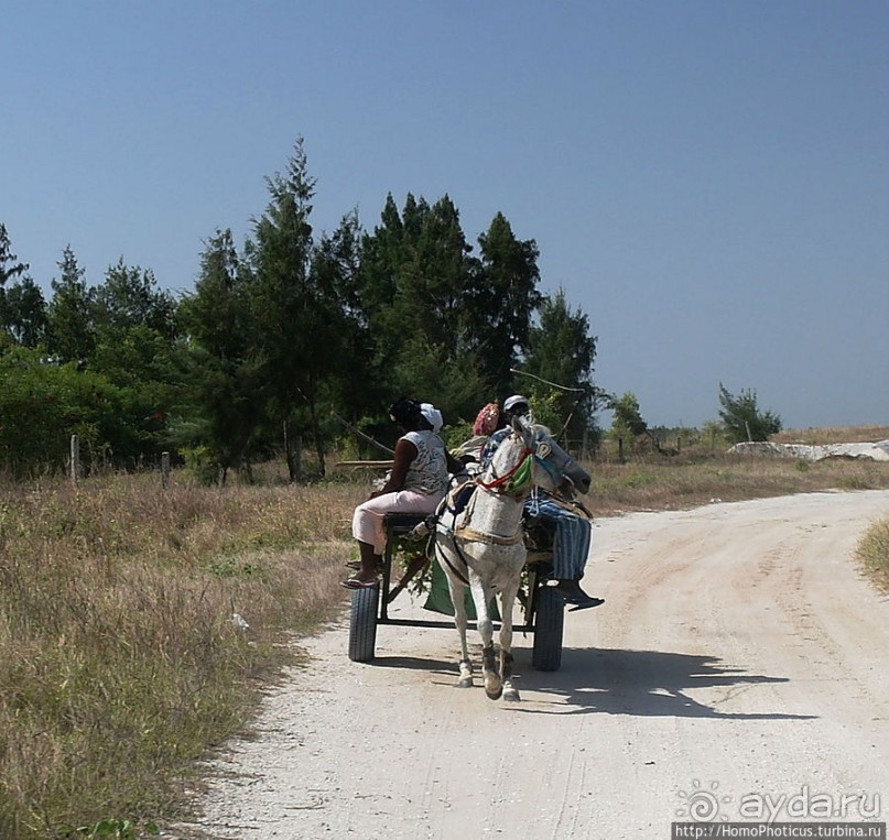 Негры с солью, или вокруг гламурного озера