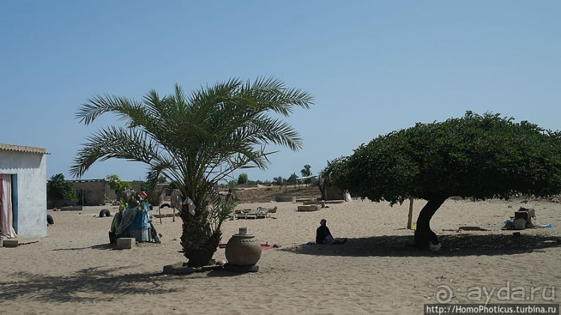 Негры с солью, или вокруг гламурного озера