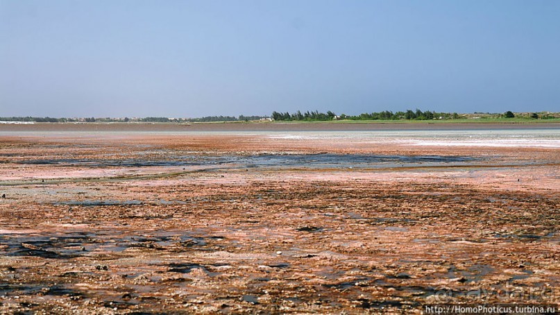 фото Сенегала