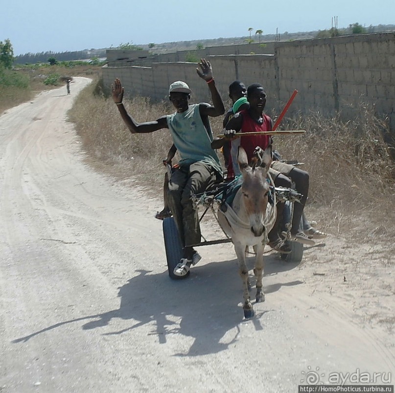 Негры с солью, или вокруг гламурного озера