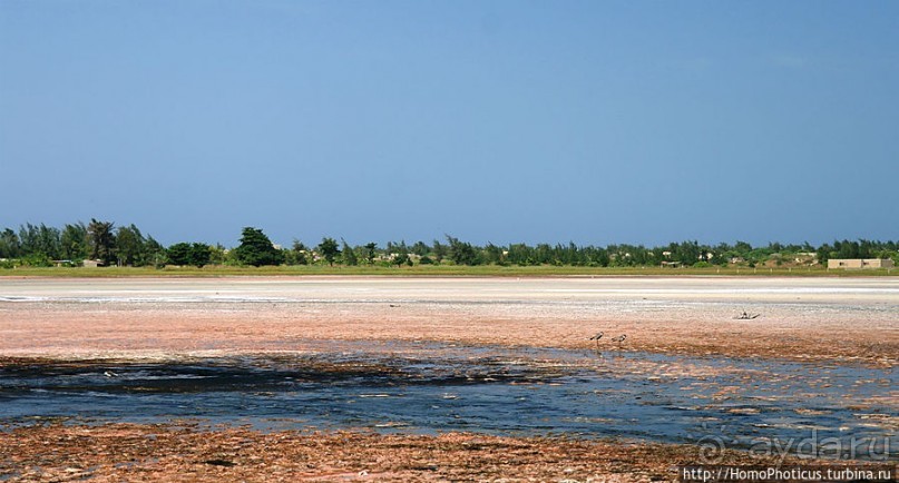 Негры с солью, или вокруг гламурного озера