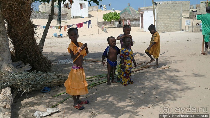 Негры с солью, или вокруг гламурного озера