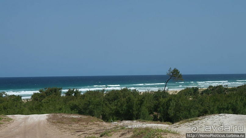 Негры с солью, или вокруг гламурного озера