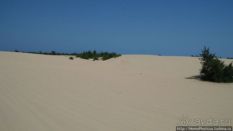 Негры с солью, или вокруг гламурного озера