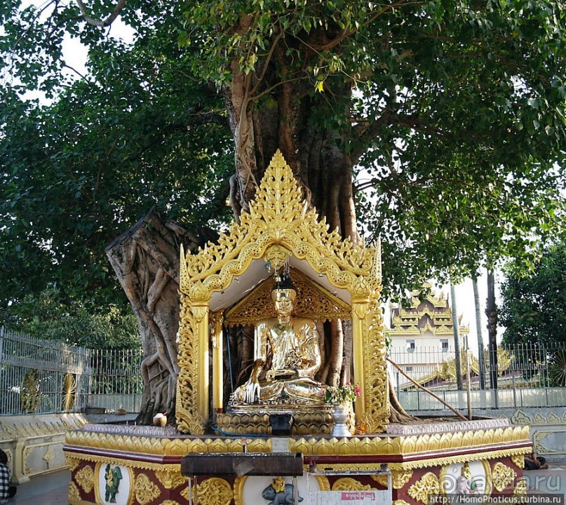 Шведагон. Золотой символ Мьянмы