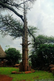 Этнография Эфиопии: деревня консо