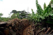 Этнография Эфиопии: деревня консо