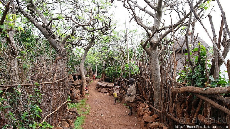 Этнография Эфиопии: деревня консо