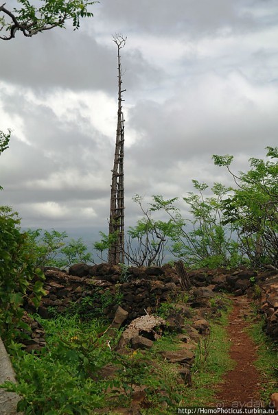 Этнография Эфиопии: деревня консо