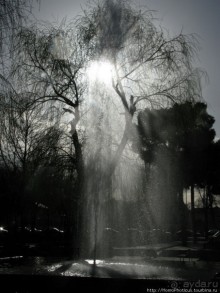 Альбом отзыва "Персия: прогулка по Исфахану"