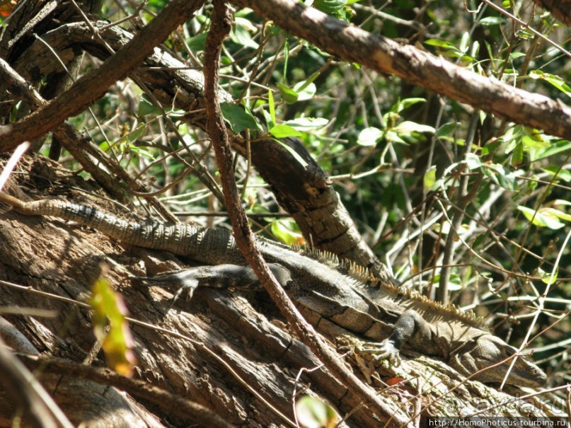 Ареналь: озеро и вулкан