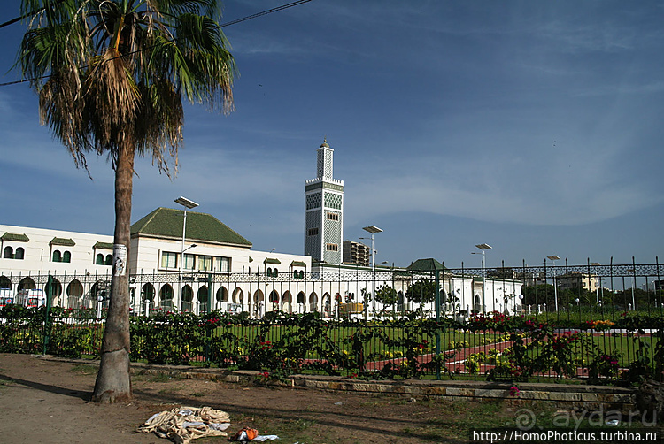 Сенегамбия. I. По кромке самой западной Африки