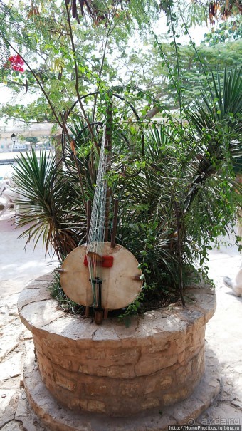 Сенегамбия. I. По кромке самой западной Африки