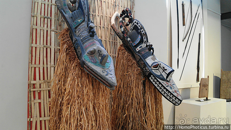 Сенегамбия. I. По кромке самой западной Африки