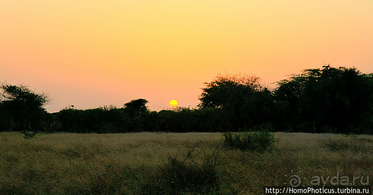Сенегамбия. I. По кромке самой западной Африки