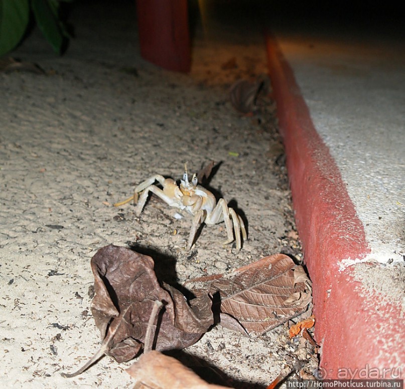Сенегамбия. I. По кромке самой западной Африки