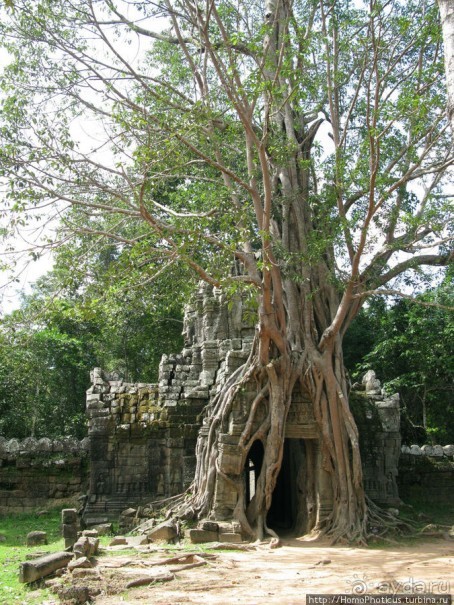 Священный меч