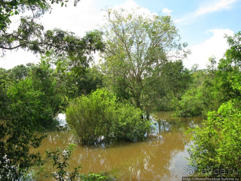 Священный меч