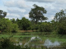 Священный меч