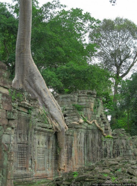 Священный меч