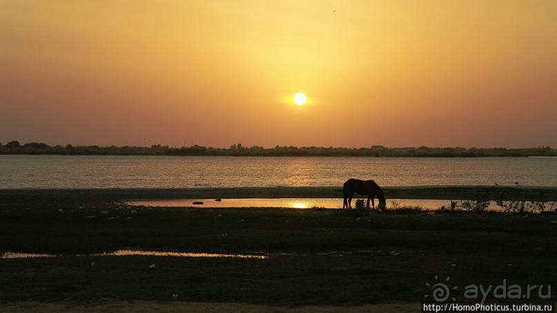 Река или Океан?