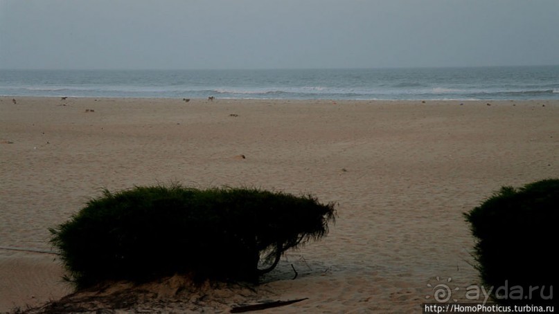 Река или Океан?