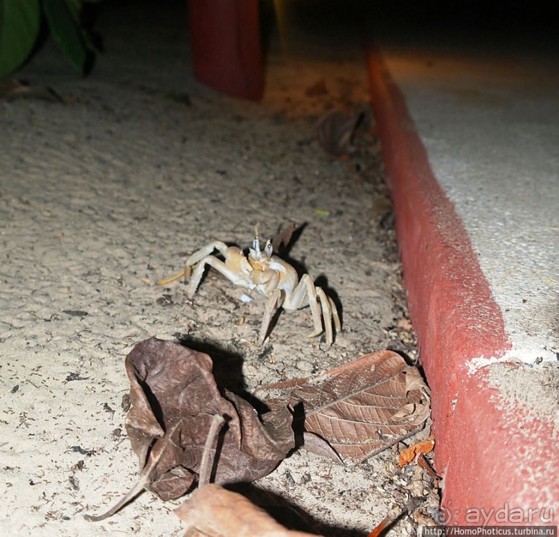 Река или Океан?