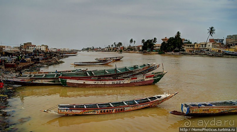 фото Сенегала
