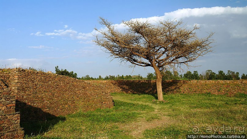 Дворец царицы Савской или просто склад?