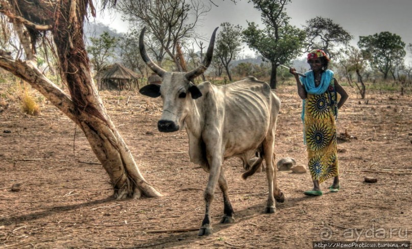 Тчамба. Школа и школьники