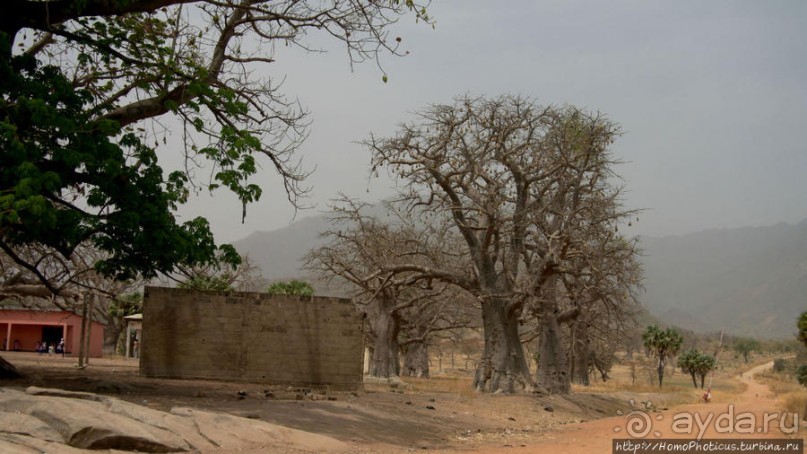 Тчамба. Школа и школьники