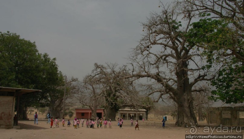 Тчамба. Школа и школьники